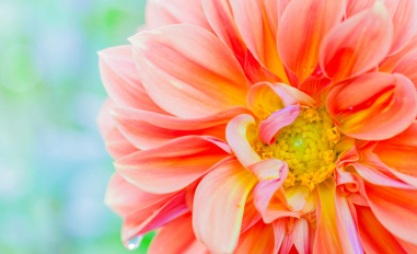 Portfolio Design Trends Every Creative Should Watch in 2025